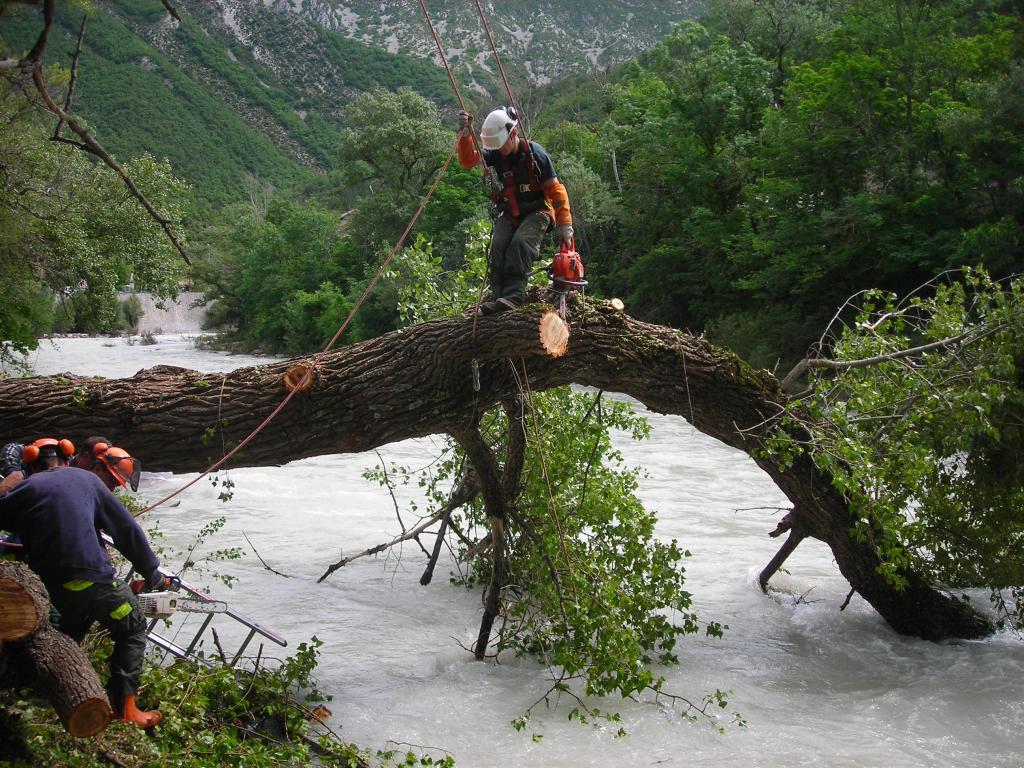 Entretien de cours d'eau et génie végétal